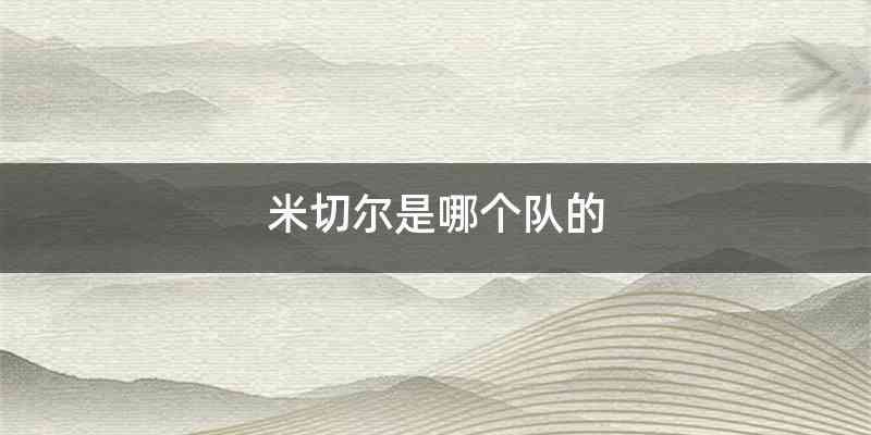 米切尔是哪个队的