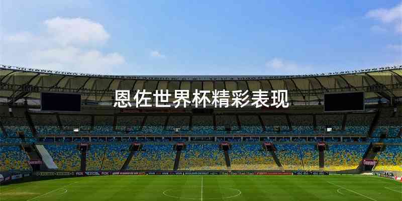 恩佐世界杯精彩表现