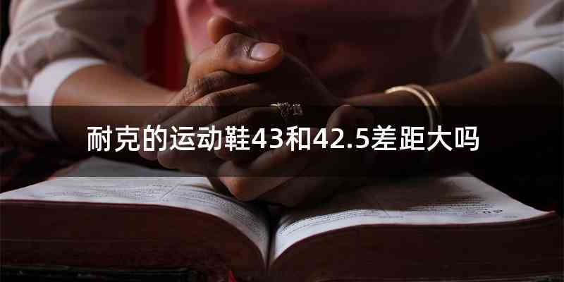 耐克的运动鞋43和42.5差距大吗