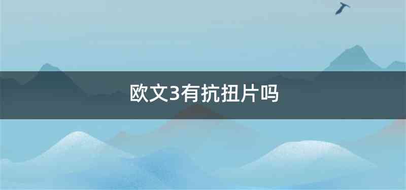 欧文3有抗扭片吗
