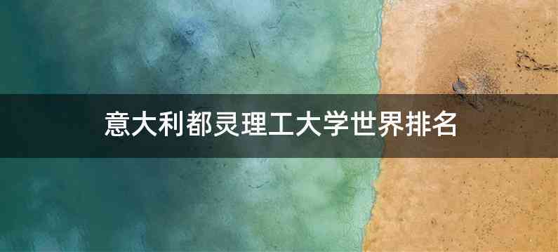 意大利都灵理工大学世界排名