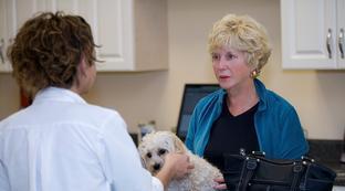 关于贝利的介绍英语