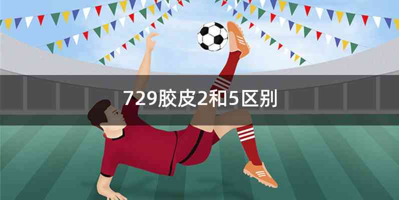 729胶皮2和5区别