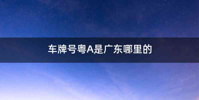 车牌号粤A是广东哪里的