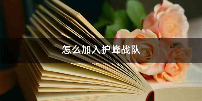 怎么加入护峰战队