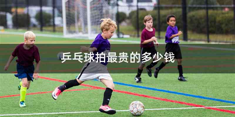 乒乓球拍最贵的多少钱