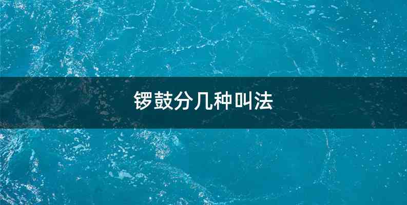 锣鼓分几种叫法