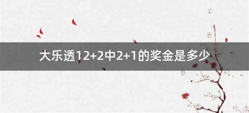 大乐透12+2中2+1的奖金是多少