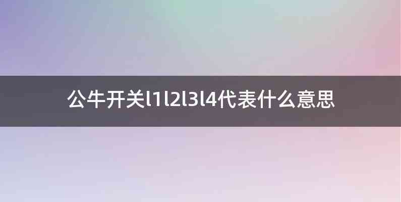 公牛开关l1l2l3l4代表什么意思