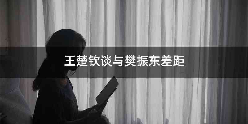 王楚钦谈与樊振东差距