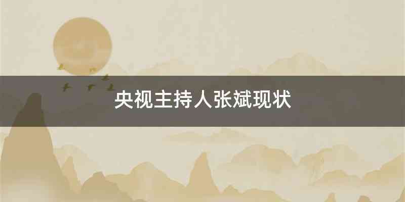 央视主持人张斌现状