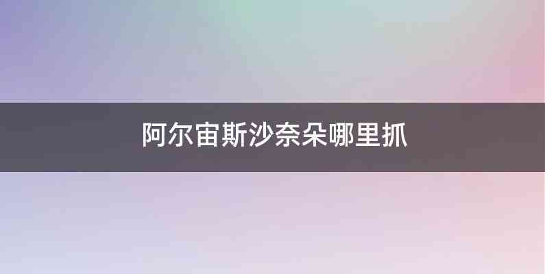 阿尔宙斯沙奈朵哪里抓