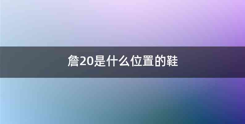 詹20是什么位置的鞋