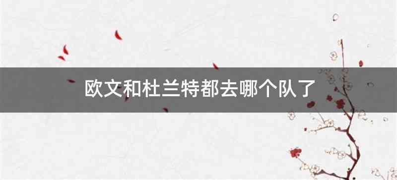 欧文和杜兰特都去哪个队了