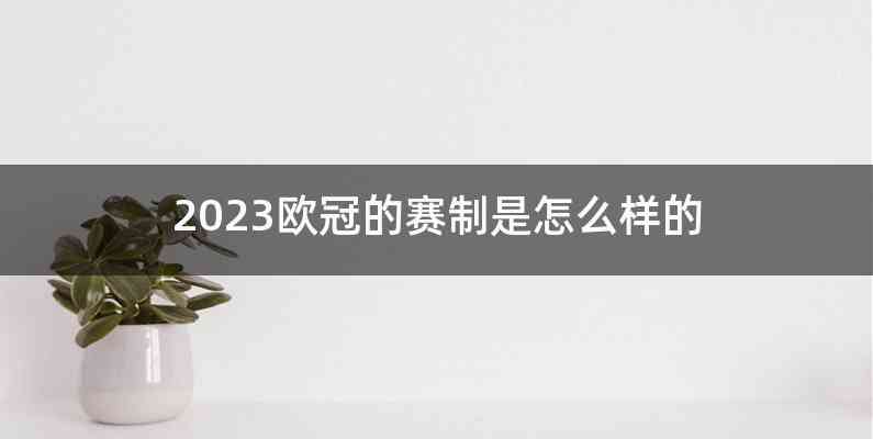 2023欧冠的赛制是怎么样的