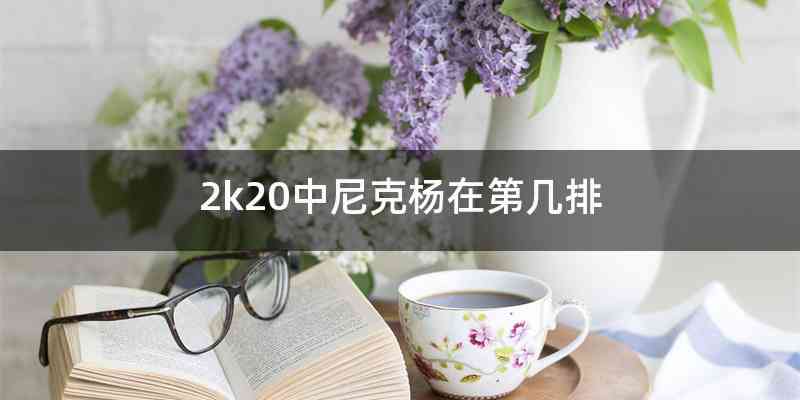 2k20中尼克杨在第几排