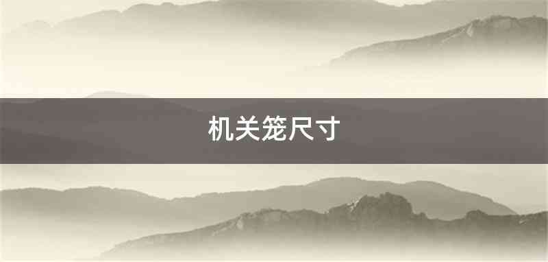 机关笼尺寸
