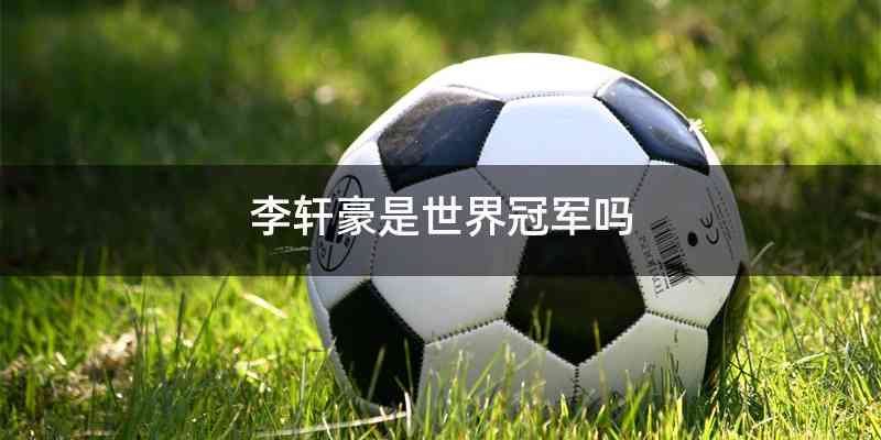 李轩豪是世界冠军吗