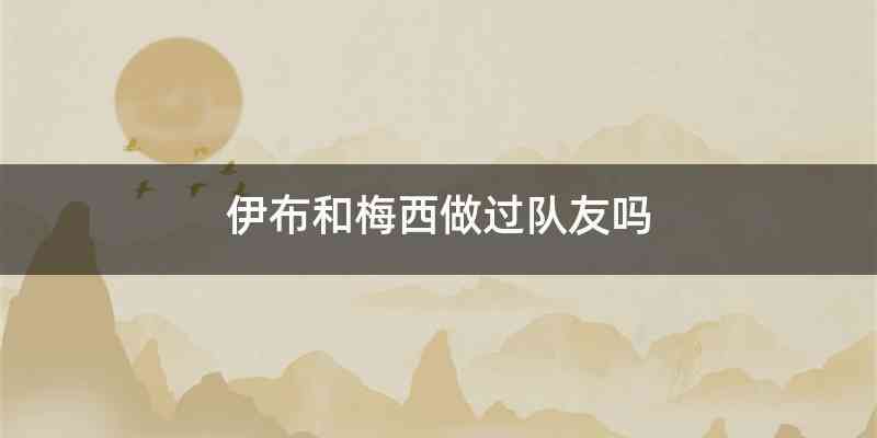 伊布和梅西做过队友吗