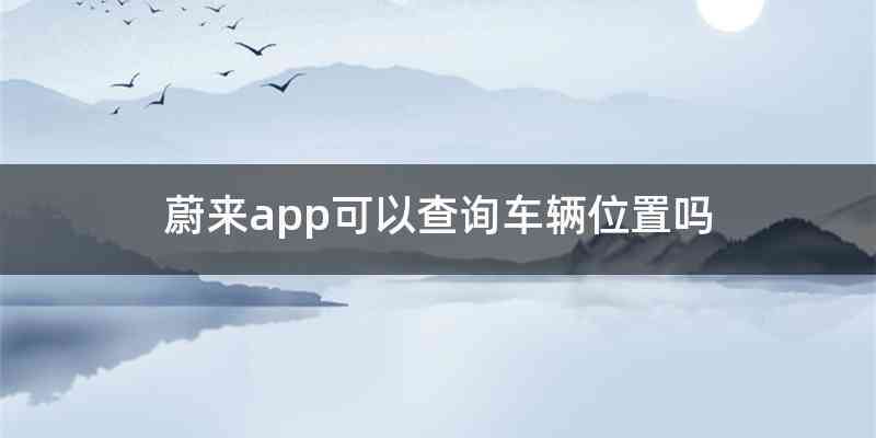 蔚来app可以查询车辆位置吗