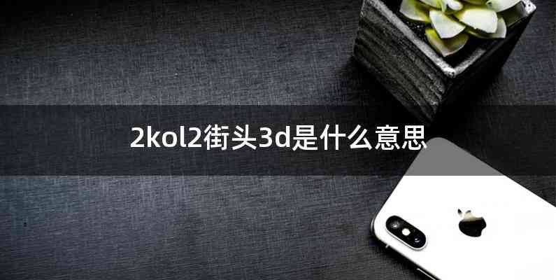 2kol2街头3d是什么意思