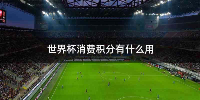 世界杯消费积分有什么用