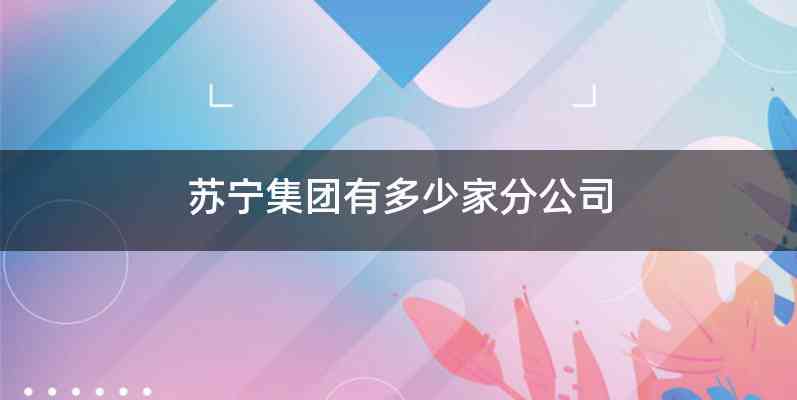 苏宁集团有多少家分公司