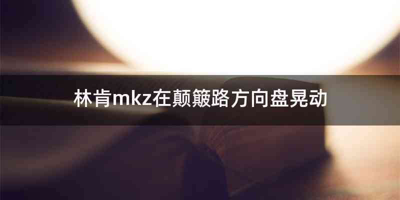 林肯mkz在颠簸路方向盘晃动