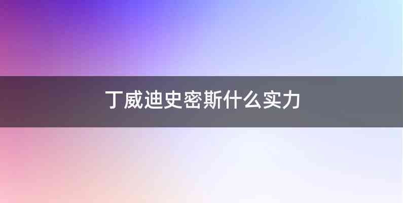 丁威迪史密斯什么实力