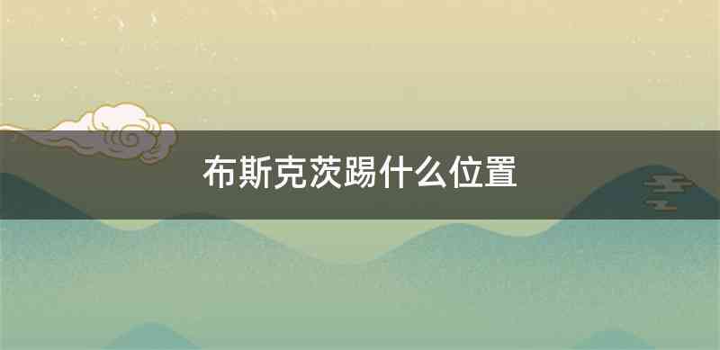 布斯克茨踢什么位置