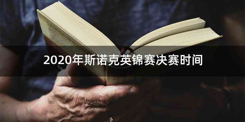 2020年斯诺克英锦赛决赛时间