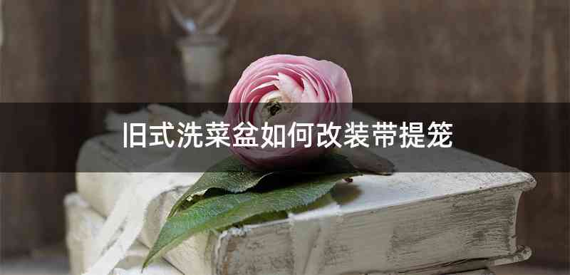 旧式洗菜盆如何改装带提笼