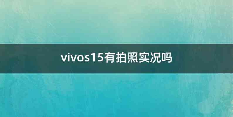 vivos15有拍照实况吗