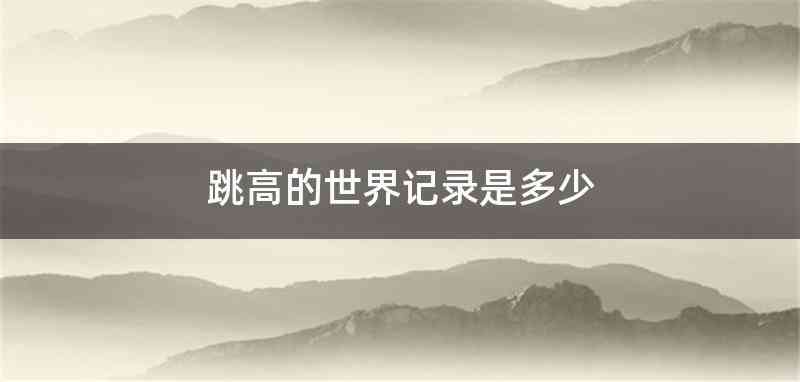 跳高的世界记录是多少