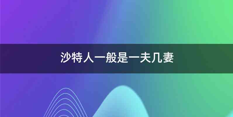 沙特人一般是一夫几妻