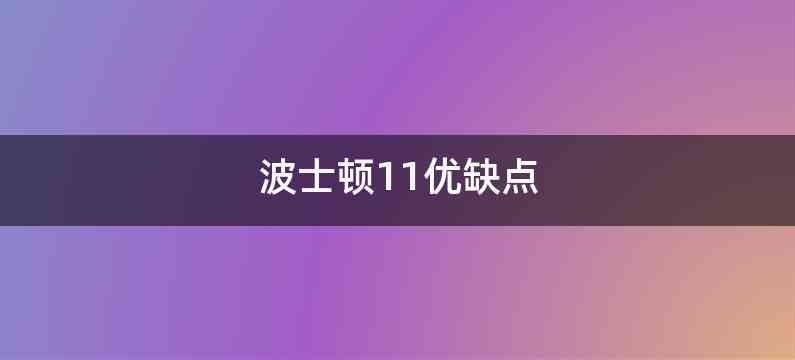 波士顿11优缺点