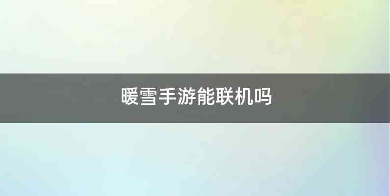 暖雪手游能联机吗