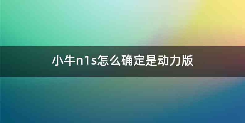 小牛n1s怎么确定是动力版