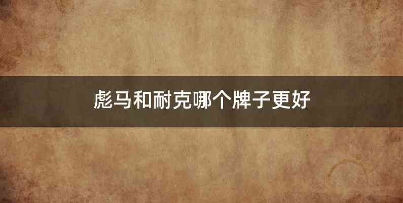 彪马和耐克哪个牌子更好