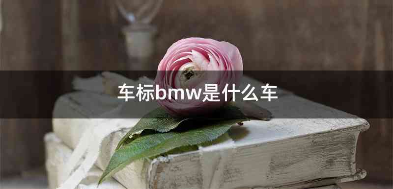 车标bmw是什么车