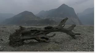 马拉多纳为什么短命了呢