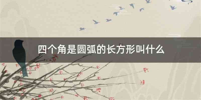 四个角是圆弧的长方形叫什么