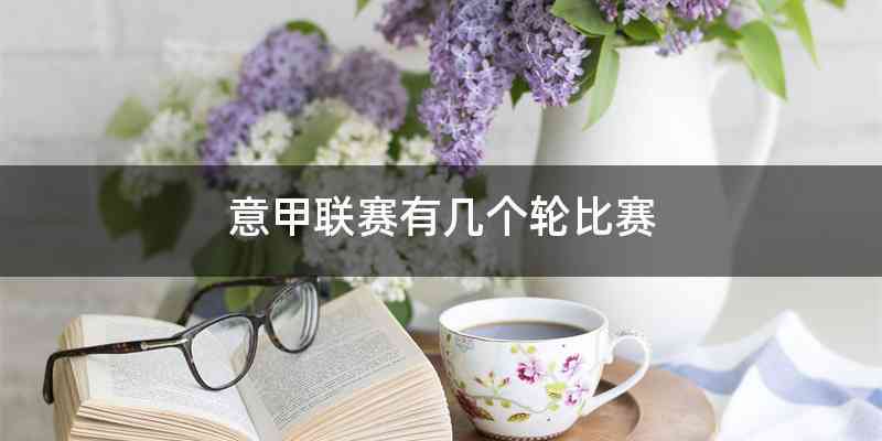 意甲联赛有几个轮比赛