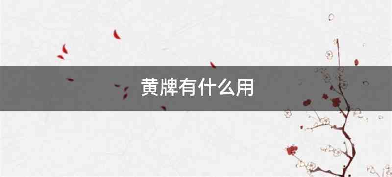 黄牌有什么用