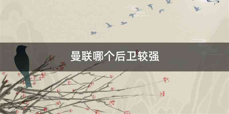 曼联哪个后卫较强