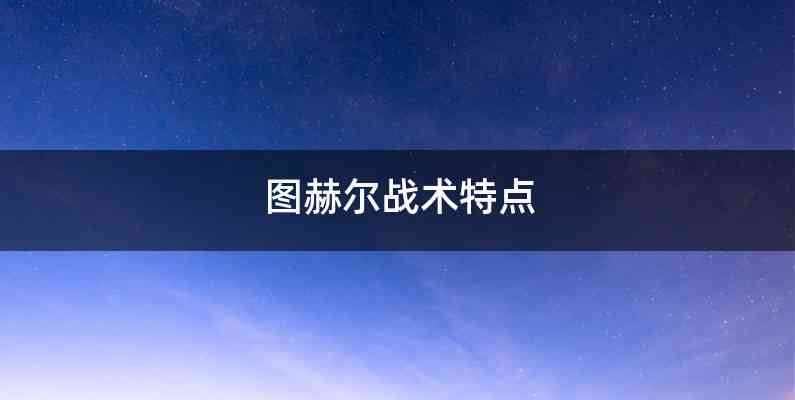 图赫尔战术特点