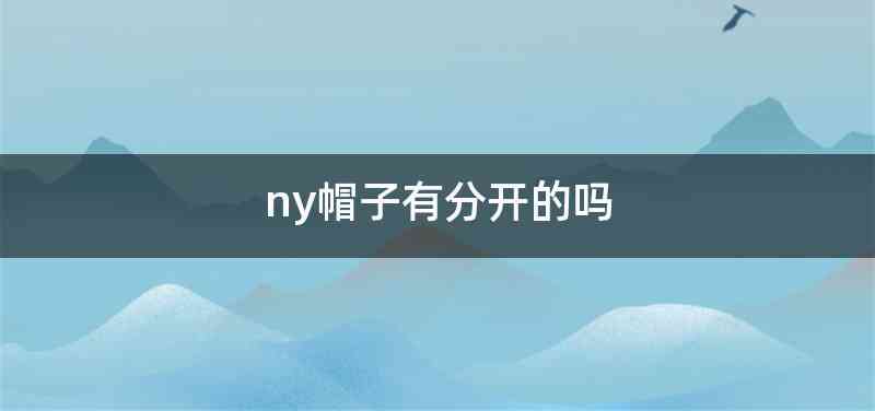 ny帽子有分开的吗