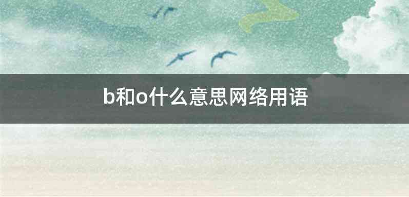 b和o什么意思网络用语