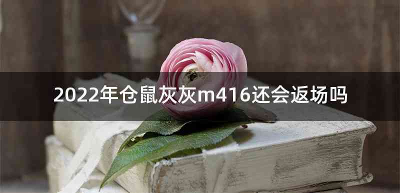 2022年仓鼠灰灰m416还会返场吗