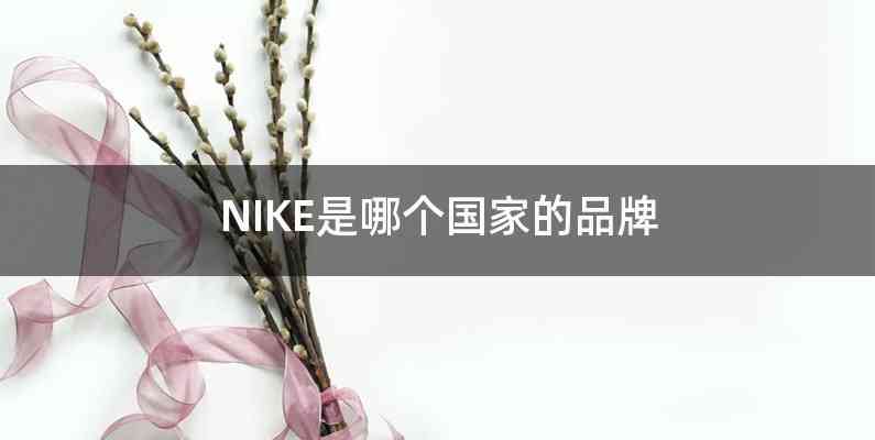 NIKE是哪个国家的品牌